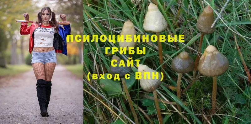 закладки  Клинцы  это какой сайт  Псилоцибиновые грибы MAGIC MUSHROOMS 